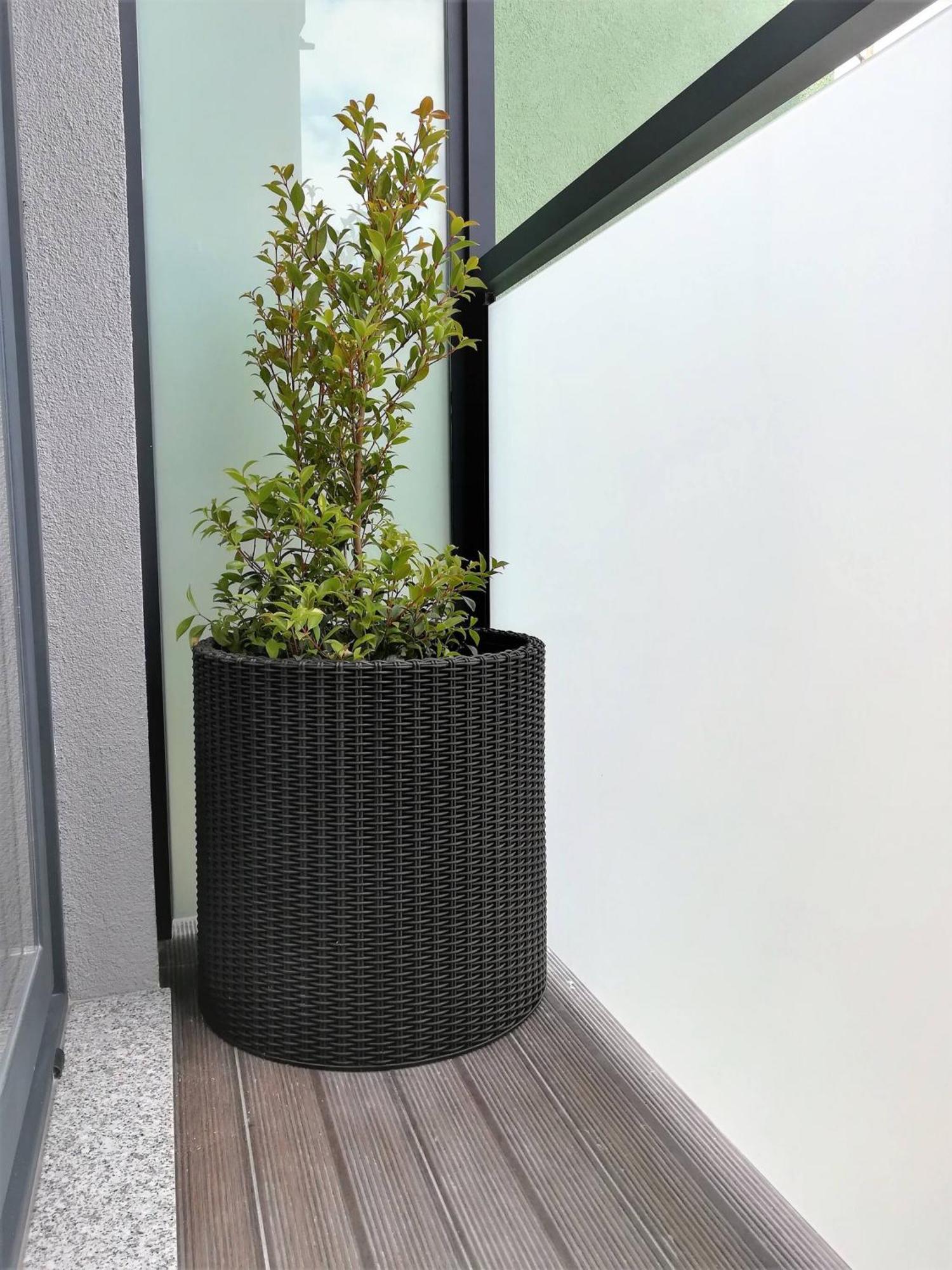 Aposentus - Your Home At Pinheiro'S Studio Porto Exteriér fotografie